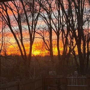 Meet your Posher, Brooklyn